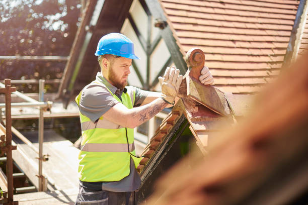 Best Storm Damage Roof Repair  in Windsor, CA